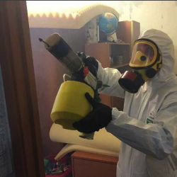 Уничтожение клопов в квартире. Окружная